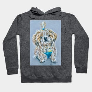 Shih Tzu with a ponytail Hoodie